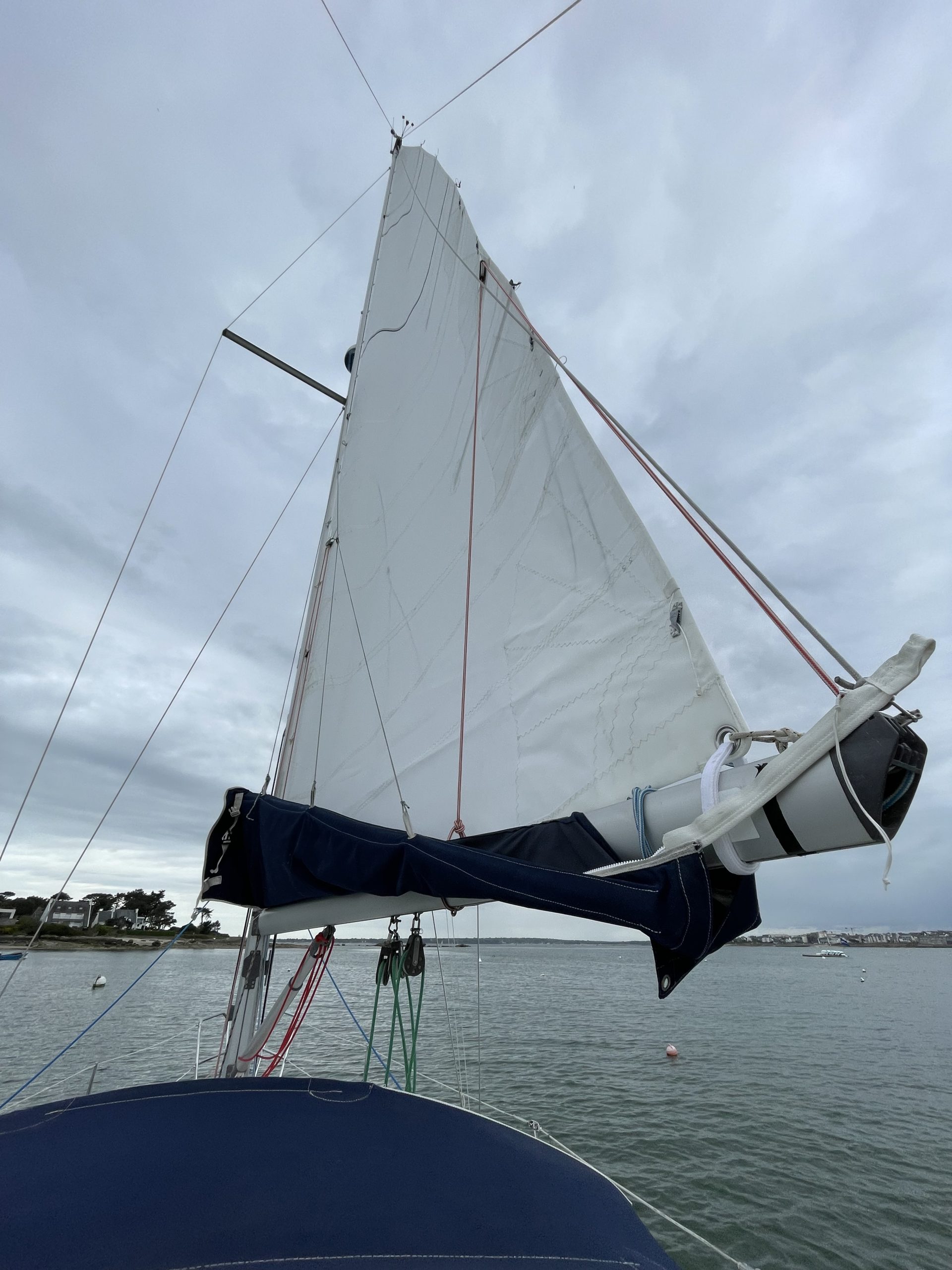 Wrighton Bi-Loup - 2008 – Image 21