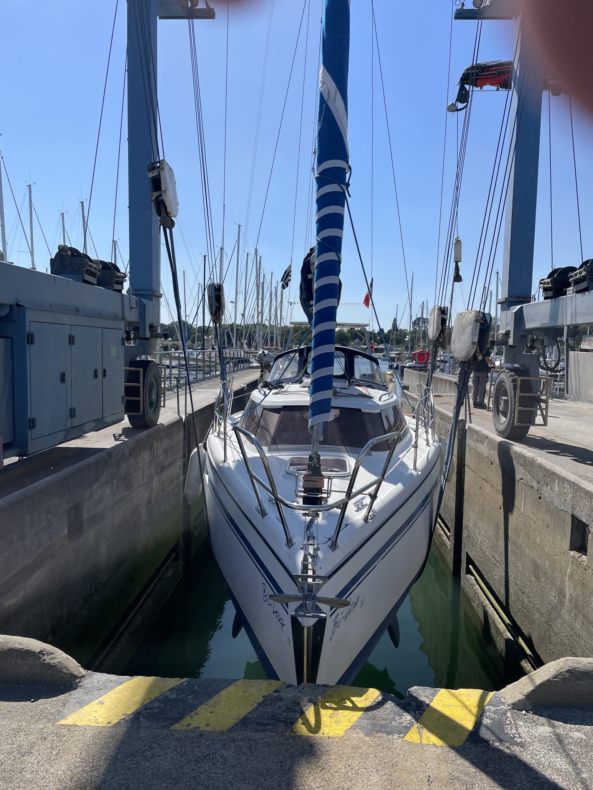 Wrighton Bi-Loup - 2008 – Image 20