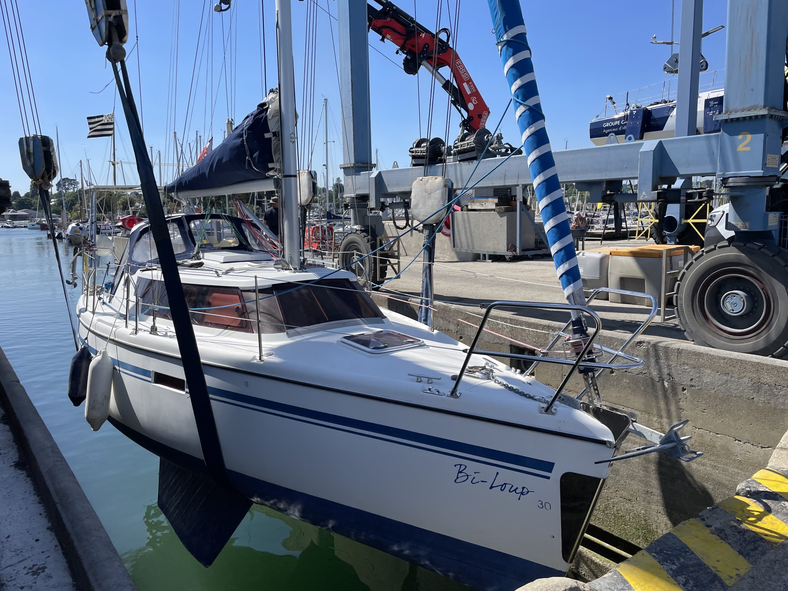 Wrighton Bi-Loup - 2008 – Image 16