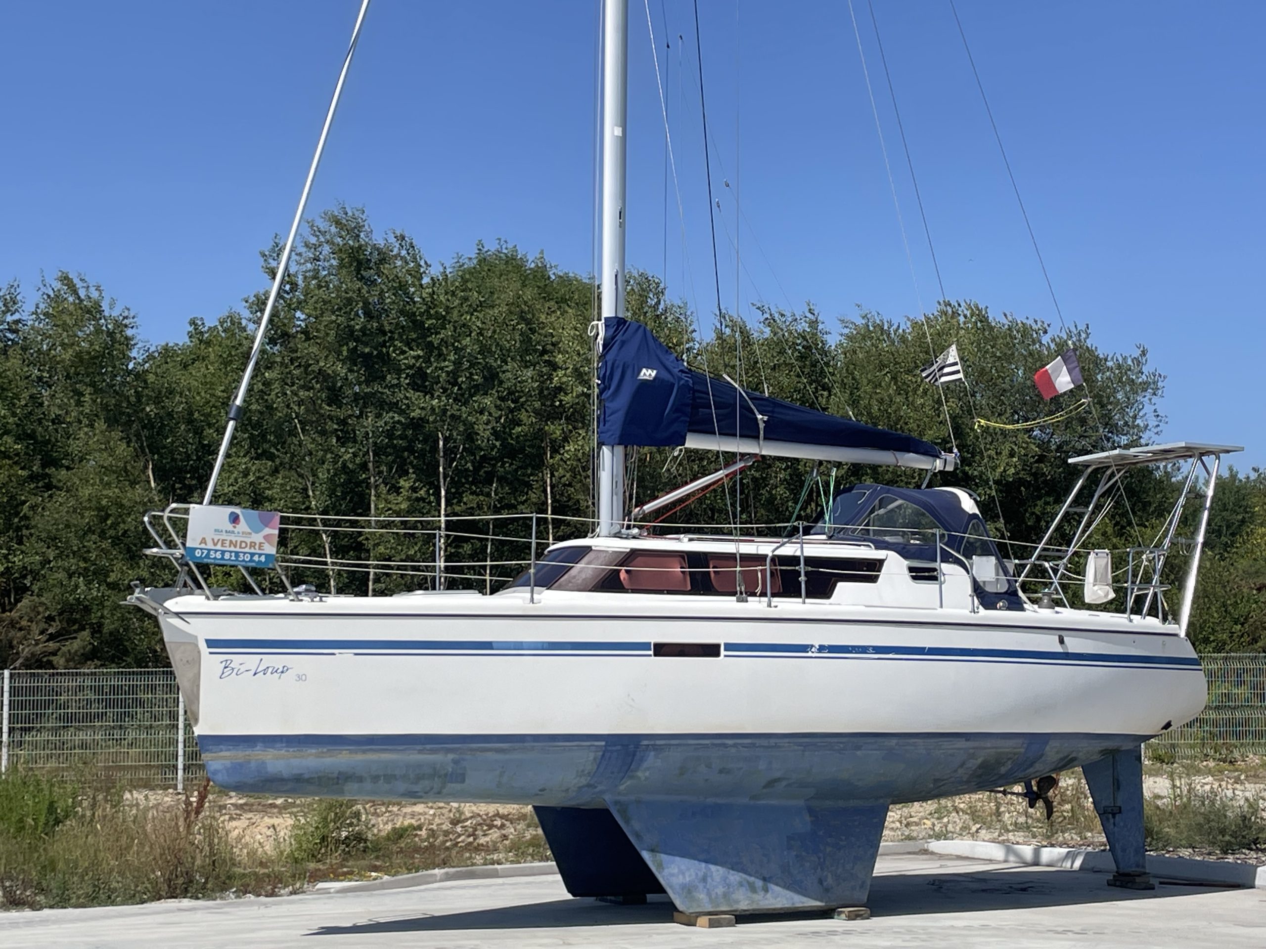 Wrighton Bi-Loup - 2008