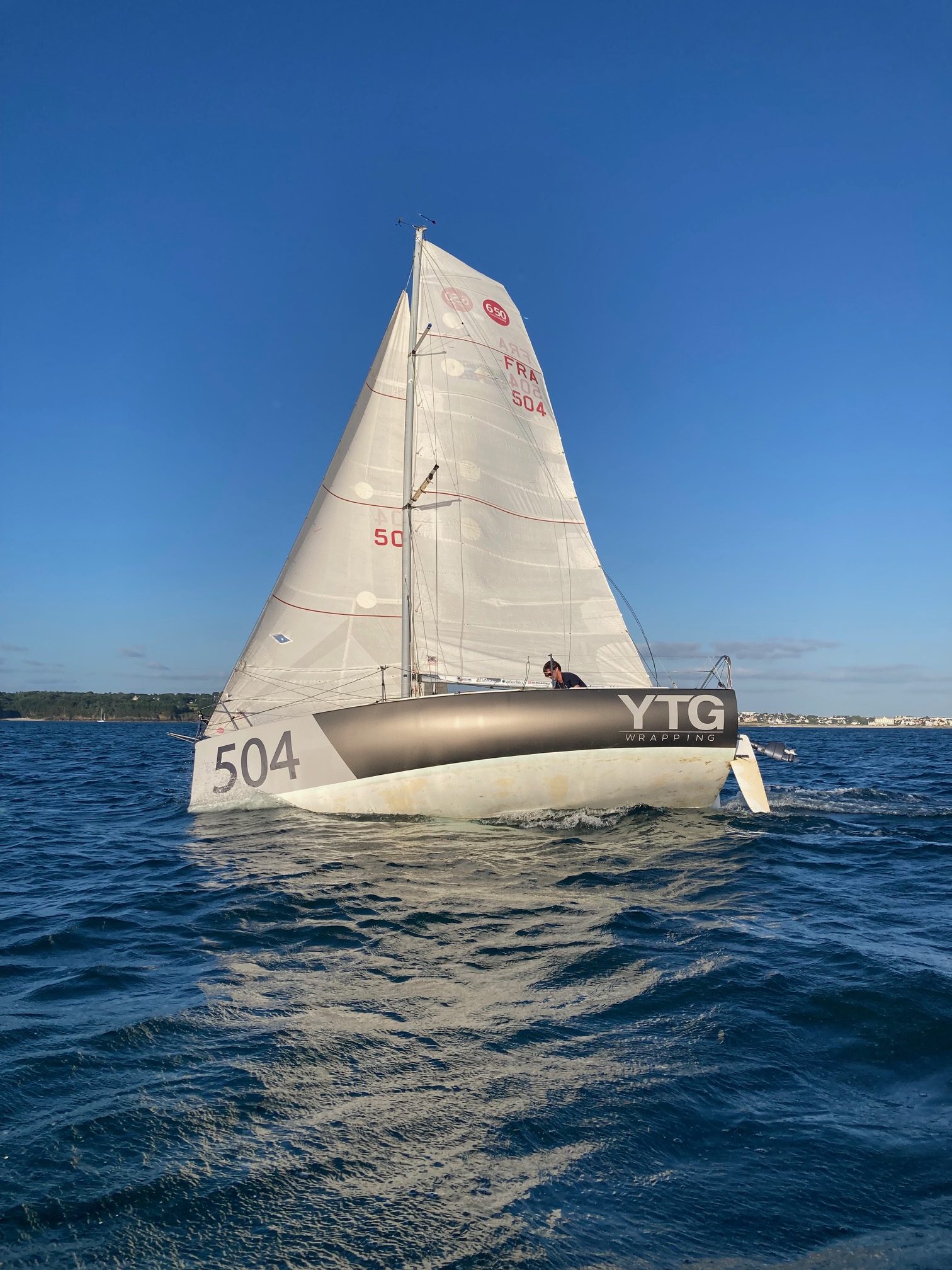 Pogo 2 - 2008 – Image 3