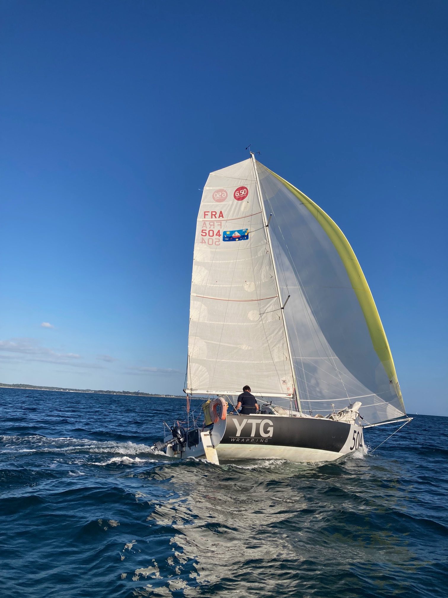 Pogo 2 - 2008 – Image 4