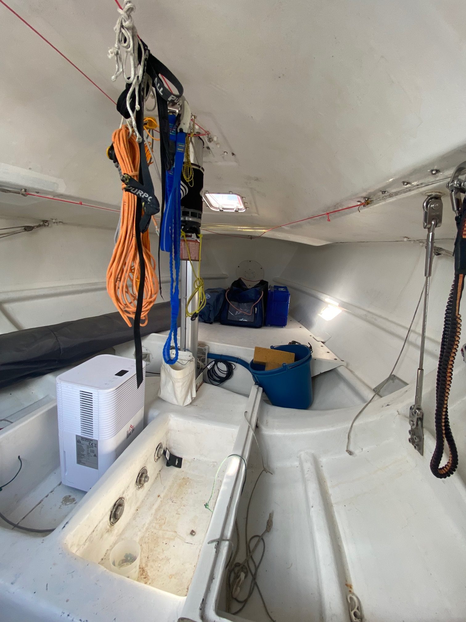 Pogo 2 - 2008 – Image 13