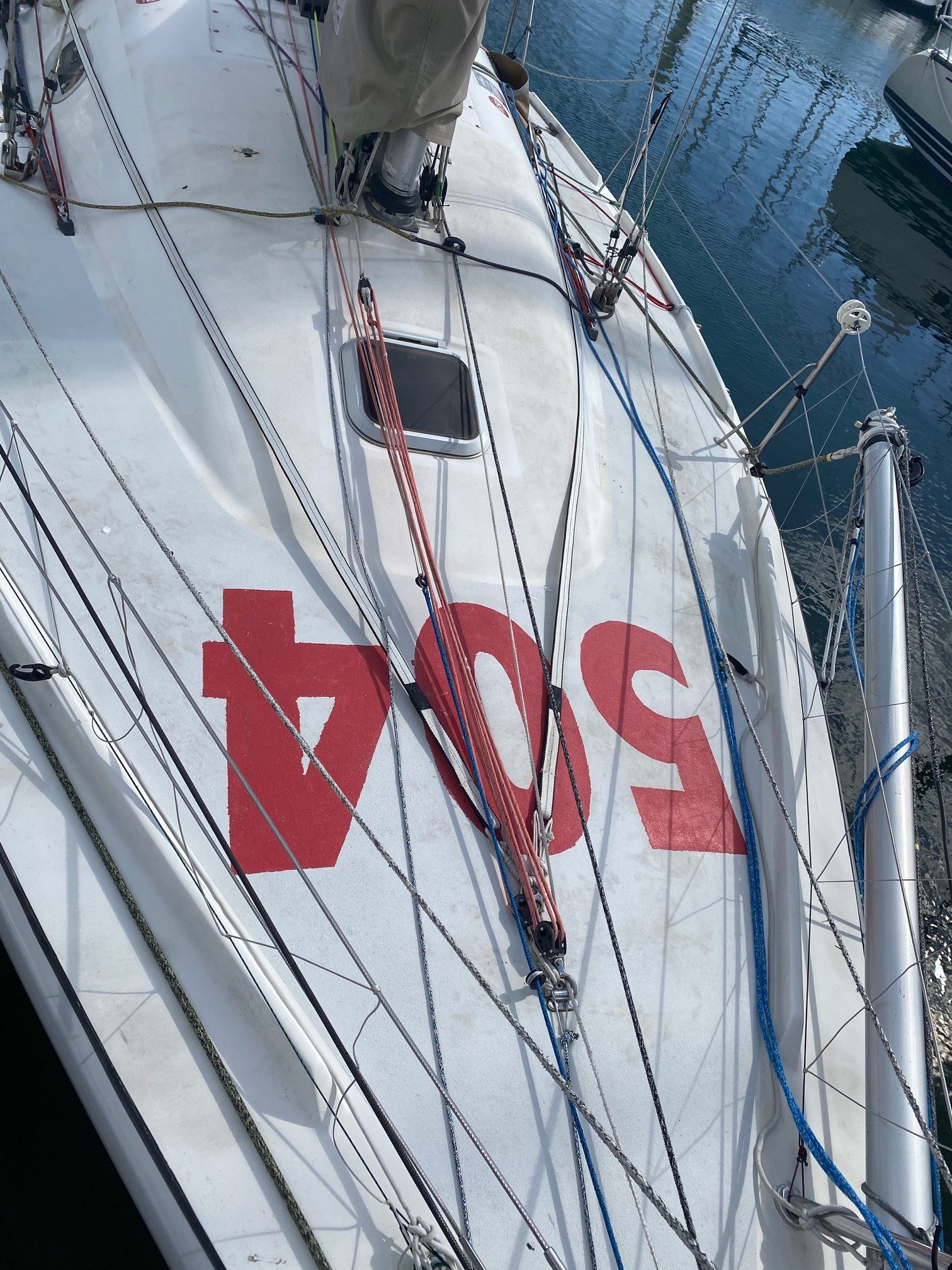 Pogo 2 - 2008 – Image 6