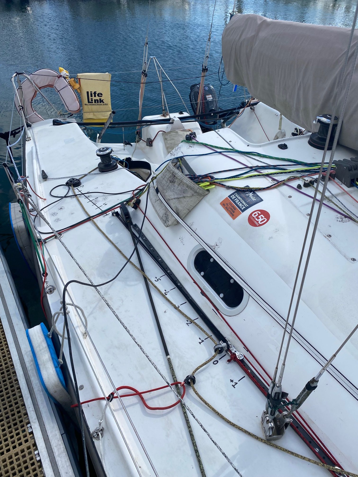 Pogo 2 - 2008 – Image 9