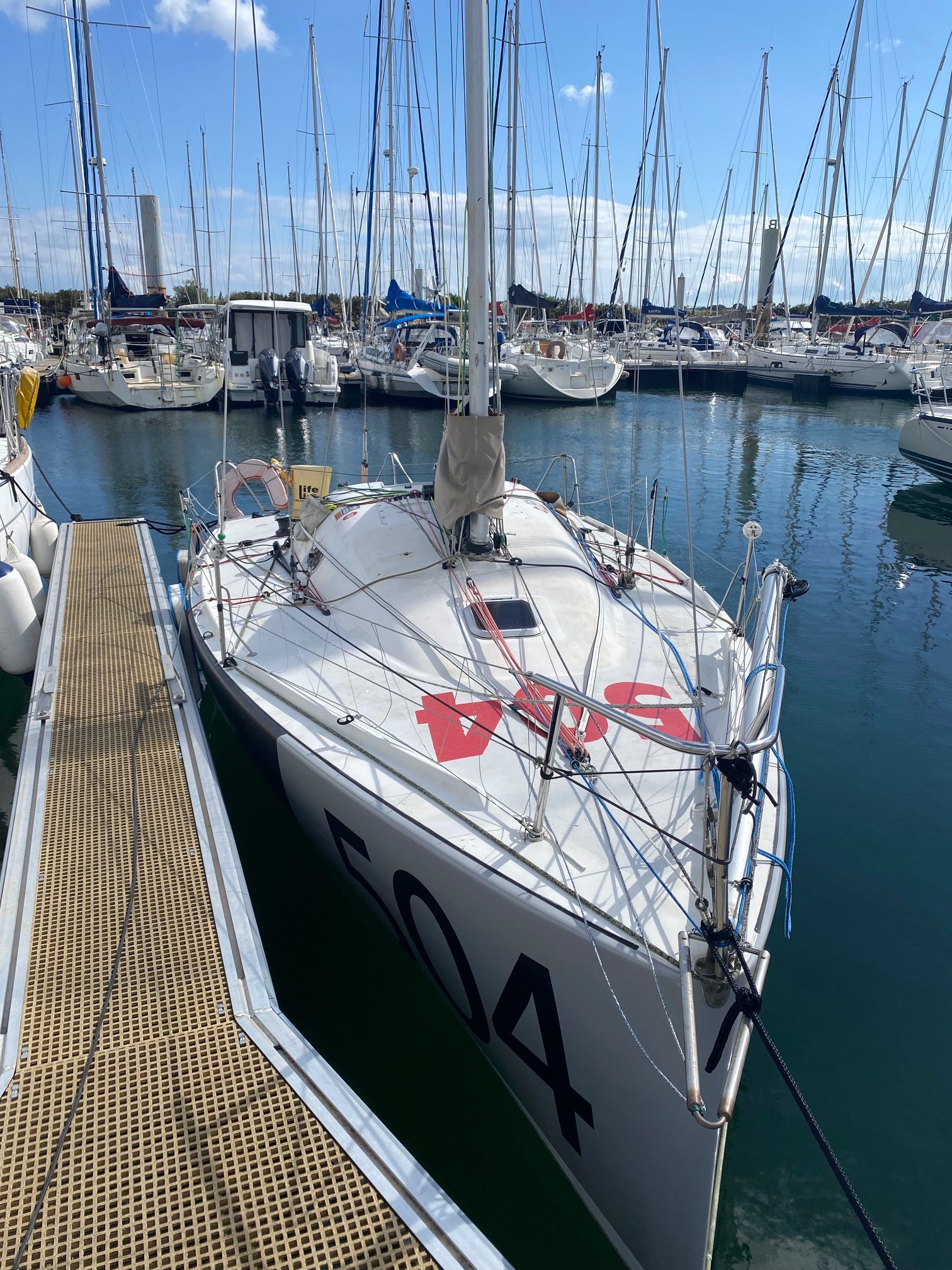 Pogo 2 - 2008 – Image 5