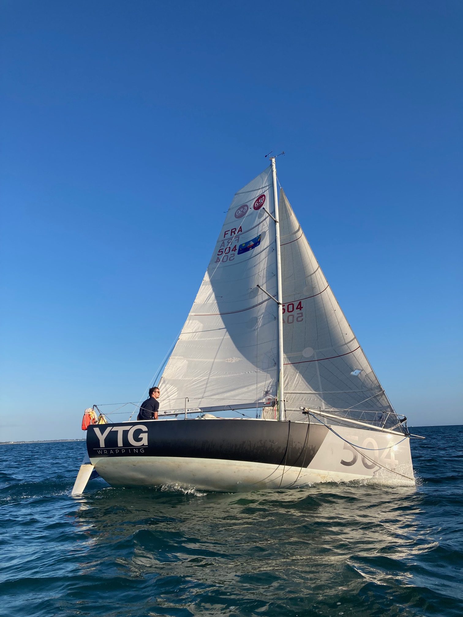 Pogo 2 - 2008 – Image 2